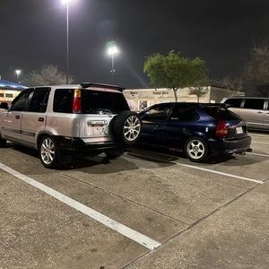 Meet your Posher, Gus